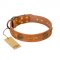(image for) "Sun Beams" FDT Artisan Tan Leather American Bulldog Collar with Decorations