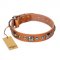 (image for) "Era of Future" FDT Artisan Handcrafted Tan Leather American Bulldog Collar with Decorations
