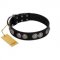 (image for) "Magic Amulete" Handcrafted FDT Artisan Black Leather American Bulldog Collar with Chrome-Plated Shields