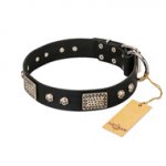 (image for) "Pirates Gold" FDT Artisan Black Leather American Bulldog Collar with Old Silver Look Plates and Skulls