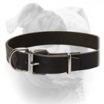 (image for) Casual Style Leather Collar For American Bulldog Breed