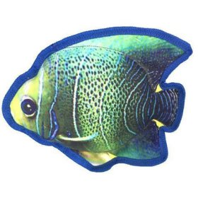 (image for) 9" Tropical Angelfish