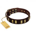 (image for) "Peace and Harmony" FDT Artisan Brown Leather American Bulldog Collar with Plates