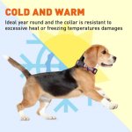 (image for) Biothane Reflective Collar With Quick Release Buckle_2