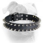 (image for) Leather American Bulldog collar with 2 rows of nickel spikes