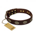 (image for) "Chocolate kiss" FDT Artisan Leather American Bulldog Collar with Old Bronze Look Oval Plates