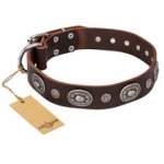 (image for) "Extra Pizzazz" FDT Artisan Adorned Brown Leather American Bulldog Collar