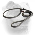 (image for) Leather Slip Lead 6 FT on 1/2'' for American Bulldog