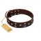(image for) "Brown Shadow" Designer Handmade FDT Artisan Brown Leather American Bulldog Collar