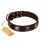 (image for) "Nut-Brown Finery" Embellished FDT Artisan Brown Leather American Bulldog Collar with Chrome Plated Crossbones and Plates