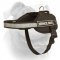 (image for) Nylon Harness With Patches For American Bulldog