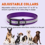 (image for) Dogline Reflective Translucent Biothane Collar_5