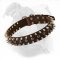 (image for) "Spiky" Leather Collar For Your American Bulldog Decorated With Spikes And Studs