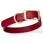 (image for) Viper Biothane Collar with Brass Hardware_16