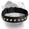 (image for) 1 Row Studs Dog Collar-1 1/4" for American Bulldog