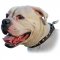 (image for) Vintage Decorative Leather Collar For American Bulldog