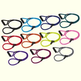 (image for) Nylon Slip lead