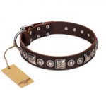 (image for) "Pierian spring" FDT Artisan Brown Leather American Bulldog Collar with Silvery Decorations