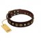 (image for) "Street Fashion" FDT Artisan Brown Leather American Bulldog Collar Adorned with Circles and Skulls