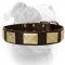 (image for) Gorgeous war like leather American Bulldog collar
