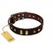 (image for) "Blinking Illusion" FDT Artisan Brown Leather American Bulldog Collar with Old Bronze-like Studs and Plates