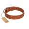 (image for) "Faraway Galaxy" FDT Artisan Tan Leather American Bulldog Collar Adorned with Stars and Squares