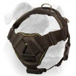 (image for) All-In-One Best Choice Nylon Harness For American Bulldog