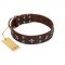 (image for) "Stars in Sands" Modern FDT Artisan Brown Leather American Bulldog Collar with Studs and Stars