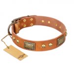 (image for) "Saucy Nature" FDT Artisan Tan Leather American Bulldog Collar with Old Bronze Look Plates and Skulls