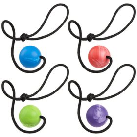 (image for) Dogline Euro Ball on Rope