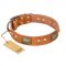 (image for) "Saucy Nature" FDT Artisan Tan Leather American Bulldog Collar with Old Bronze Look Plates and Skulls