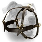 (image for) New Generation Training Leather Dog Harness For the American Bulldog