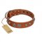 (image for) "Era Infinitum" FDT Artisan Tan Leather American Bulldog Collar Adorned with Chrome-plated Circles