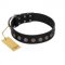 (image for) "Silent Star" Handmade FDT Artisan Designer Black Leather American Bulldog Collar with Engraved Plates