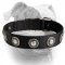 (image for) Luxury decorated nylon American Bulldog collar
