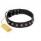 (image for) "Bizarre Affection" Designer Handmade FDT Artisan Black Leather American Bulldog Collar