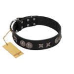 (image for) "Scythian Silver" Stylish Handmade FDT Artisan Black Leather American Bulldog Collar