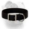 (image for) All Seasons Collar for Everyday Walking and Playing