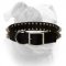 (image for) Stylish nylon collar with 2 rows of nickel spikes for American Bulldog