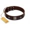 (image for) "Cold Star" Designer FDT Artisan Brown Leather American Bulldog Collar with Silver-Like Adornments