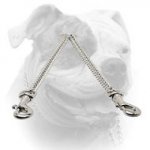 (image for) Chrome plated steel American Bulldog coupler for walking 2 dogs
