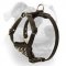 (image for) Soft padded American Bulldog puppy harness with spikes