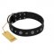 (image for) "Mr. Elegance" Designer FDT Artisan Black Leather American Bulldog Collar with Silver-Like Studs