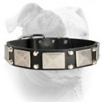 (image for) Vintage studded leather American Bulldog collar