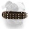 (image for) Big collar-Studs and Spikes leather dog collar for Large breeds