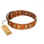 (image for) "Olive Slice" FDT Artisan Tan Leather American Bulldog Collar with Engraved and Smooth Plates