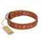 (image for) "Gorgeous Roundie" FDT Artisan Tan Leather American Bulldog Collar with Chrome-plated Circles