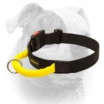 (image for) Wide Nylon Collar With Handle For American Bulldog
