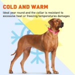 (image for) Biothane Martingale Collar with Metal Buckle_10