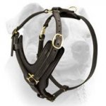 (image for) Exclusive Luxury Handcrafted Padded Leather Dog Harness